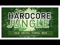 JUNGLE HARDCORE 1993 VINLY MIX - DJ O. D.