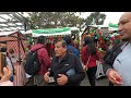 anteños residentes en lima por alameda chabuca rafael pando 4k