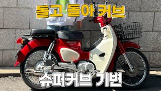 🏍️ 또!!! 슈퍼커브 기변 [돌고돌아커브], 슈퍼커브, supercub, スーパーカーブ, 오토바이, 크로스커브