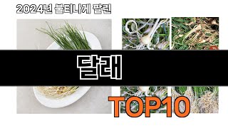 2024 가장 인기 있는 달래 추천 BEST10