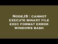 NodeJS : cannot execute binary file exec format error windows bash