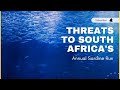 Threats to South Africa's Annual Sardine Run