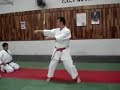 wong karate kata naihanchi shodan shorin ryu shin shu kan