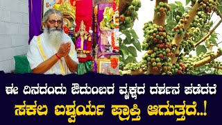 ಈ ದಿನದಂದು ಔದುಂಬರ ವೃಕ್ಷದ ದರ್ಶನ ಪಡೆದರೆ ಸಕಲ ಐಶ್ವರ್ಯ ಪ್ರಾಪ್ತಿ ಆಗುತ್ತದೆ..!