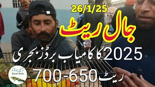 lalukhet sunday birds market 26/1/25| birds rate list 2025 lalukhet birds market 2025|zunair birds