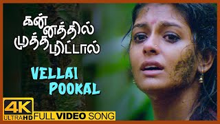 Kannathil Muthamittal Movie Songs | Vellai Pookal Song | Madhavan | Simran | A.R.Rahman