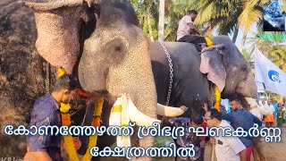 എഴുത്തുപുരക്കൽ ദേവിപ്രസാദിനും🐘വഴിവാടി ശ്രീകണ്ഠനും ഗംഭീര സ്വീകരണം 🐘!!elephant in kerala 2025