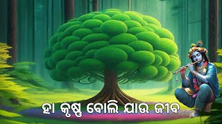 ହା କୃଷ୍ଣ ବୋଲି ଯାଉ ଜୀବ, ମୋତେ ଉଦ୍ଧାର ରାଧାଧବ ।। ଓଡ଼ିଆ ଭାଗବତ ପାରାୟଣ ।।