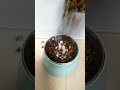 satisfying dog food sound #shorts #asmr #trending #viral #dog