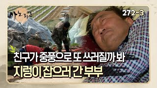 [사노라면] 272-3 친구가 중풍으로 또 쓰러질까 봐 지렁이 잡으러 간 부부