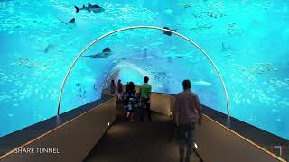 CC Museum and Heritage Showcase - Aquatic Gallery Concept, Science City, Ahmedabad