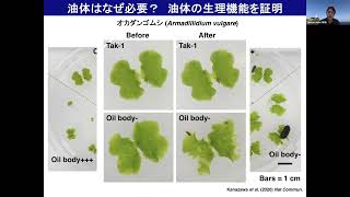 細胞動態研究部門 研究室紹介（基礎生物学研究所 大学院説明会）