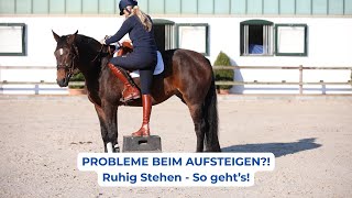 Horse won't stand still when you mount? Here's how to start training correctly (1/3)