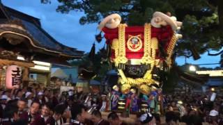 平成28年 9/17 百舌鳥八幡宮月見祭 陵南町・土師町・梅町 宮入 (大阪府堺市北区)