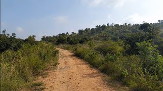 2 Acre land for sale total price 60 Lakhs 12km from channapatna