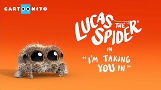 Lucas the Spider - I'm Taking You - Short
