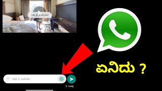 Whatsapp New Feature 😉