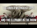 The United Methodist Split - the Elephant in the Room No One Wants to Address - UNREGENERATE CLERGY