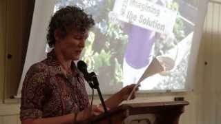 Sandra Dickson - Imagining the Solution 2013