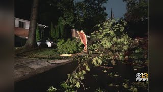 Severe Storms Knock Trees Onto Homes, Flood Area Roads