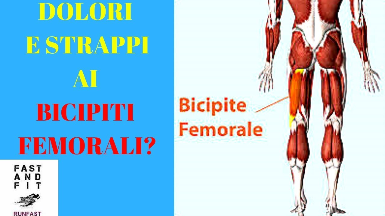 BICIPITI FEMORALI: Dolori, Contratture Ed Infortuni ( 7 Consigli E ...