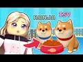 Als HUNDEWELPEN ADOPTIERT werden in Roblox - Pet Story