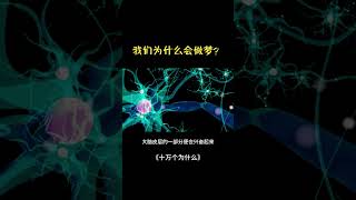 我们为什么会做梦？ #science #科普 #正能量 #推薦#十万个为什么