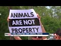 Lee County man accused of not giving farm animals water