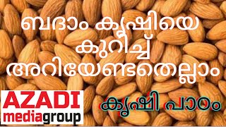 ഇന്നത്തെ കൃഷിപാഠം ബദാം badaam farming