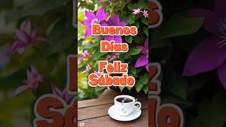 Feliz Sábado!🌺🌸💞💐🦋#bendiciones #sabado #buenosdias #frases #viralvideo