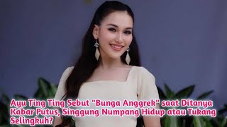 Ayu Ting Ting Sebut \