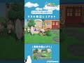 【あつ森】マイデザイン無しの島づくり タヌキ商店レイアウトショートver animal crossing new horizons【島クリエイター】 shorts acnh 島クリエイター