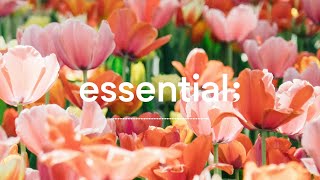 [Playlist] 봄이 왔나 봄 🌷 | 봄에 듣기 좋은 산뜻한 팝송 | 4 hours spring mood pop