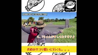 【千葉県浦安・高洲海浜公園釣り】浦安釣法の仕掛けを買って初めてサヨリを狙いに行ったものの。。。　#shorts