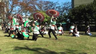 静大祭in浜松2011　お茶ノ子祭々　南中ソーラン