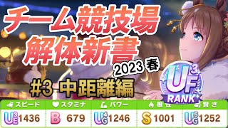 CLASS6維持のための競技場解体新書2023年春 中距離編【ウマ娘】【攻略・解説】