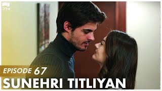 Sunehri Titliyan | Episode 67 | Turkish Drama | Sunshine Girls | Urdu Dubbing | FE1Y