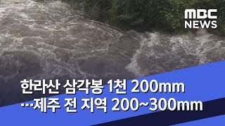 한라산 삼각봉 1천 200mm…제주 전 지역 200~300mm (2019.07.20/뉴스데스크/MBC)