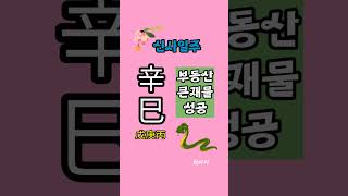 [타로/신사일주]재물적 기회가 있는 성공의 일주입니다#shorts#일주#사주#타로