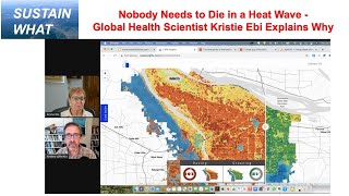 Nobody Needs to Die in a Heat Wave - A Global-Health Scientist Explains