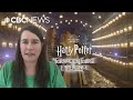 Vancouver councillors ask Park Board to cancel Harry Potter attraction