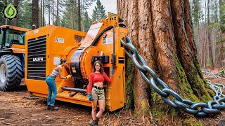 Extreme Dangerous Fastest Big Chainsaw Cutting Tree Machines | Monster Stump Removal Excavator #22