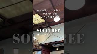 ロケ地巡りでも人気！二子玉川にあるオシャレ倉庫カフェ「SOULTREE」#shorts