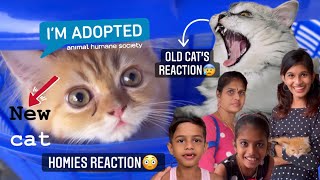 Surprise ayit poochaye vaghichapol ulla REACTION😰 | New member🥰 | Tiyakutty | thejathangu😉