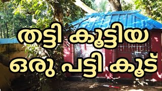 🏠🏠DOG CAGE : പട്ടിക്കൂട് : Build a simple dog cage : നായക്കൂട് : laze media : How to crate