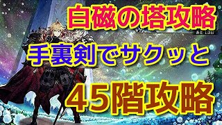 【FFBE幻影戦争】白磁の塔攻略　45階【WOTV】1