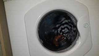 Wash in @FlorenceballardA3060's: Hotpoint WM63 Casatta Non Colourfast cottons 40'c (complete cycle)