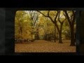 falling leaves - michael turner