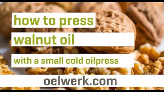 walnut oil pressing with small cold oilpress - made in germany