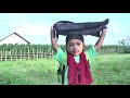 BOLANG GIFARI TEMA SONG